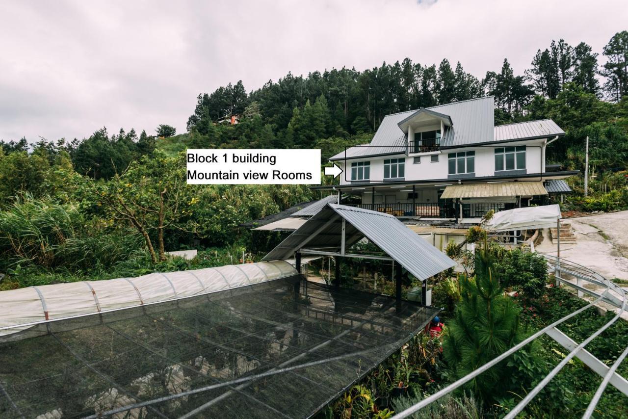 格里斯美景小木屋 Kampong Kundassan 外观 照片