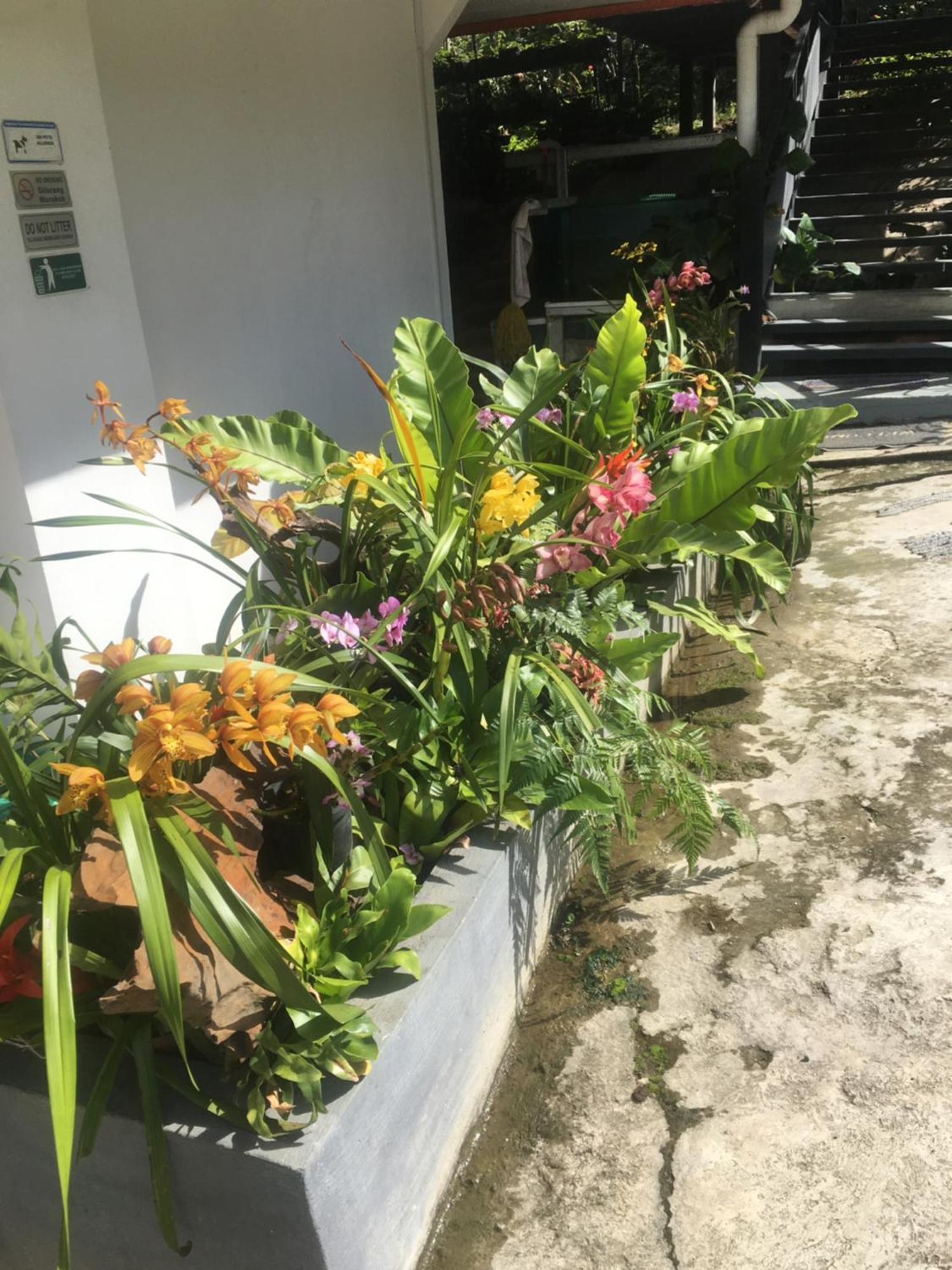 格里斯美景小木屋 Kampong Kundassan 外观 照片